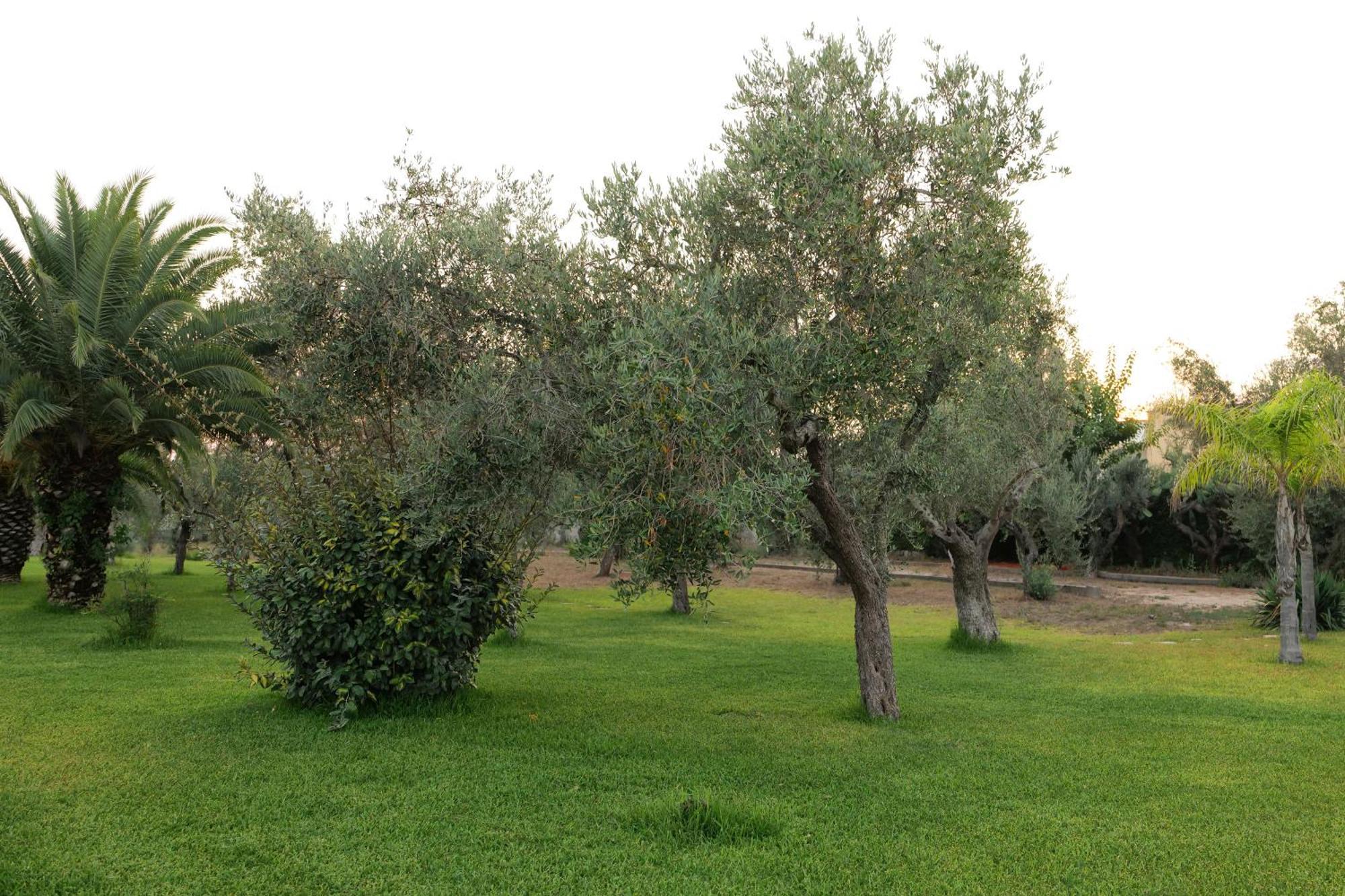 Tenuta Ricco With Pool And Garden Cursi Exteriör bild